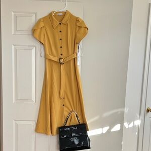 & Other Stories Mustard Midi Dress with Belt